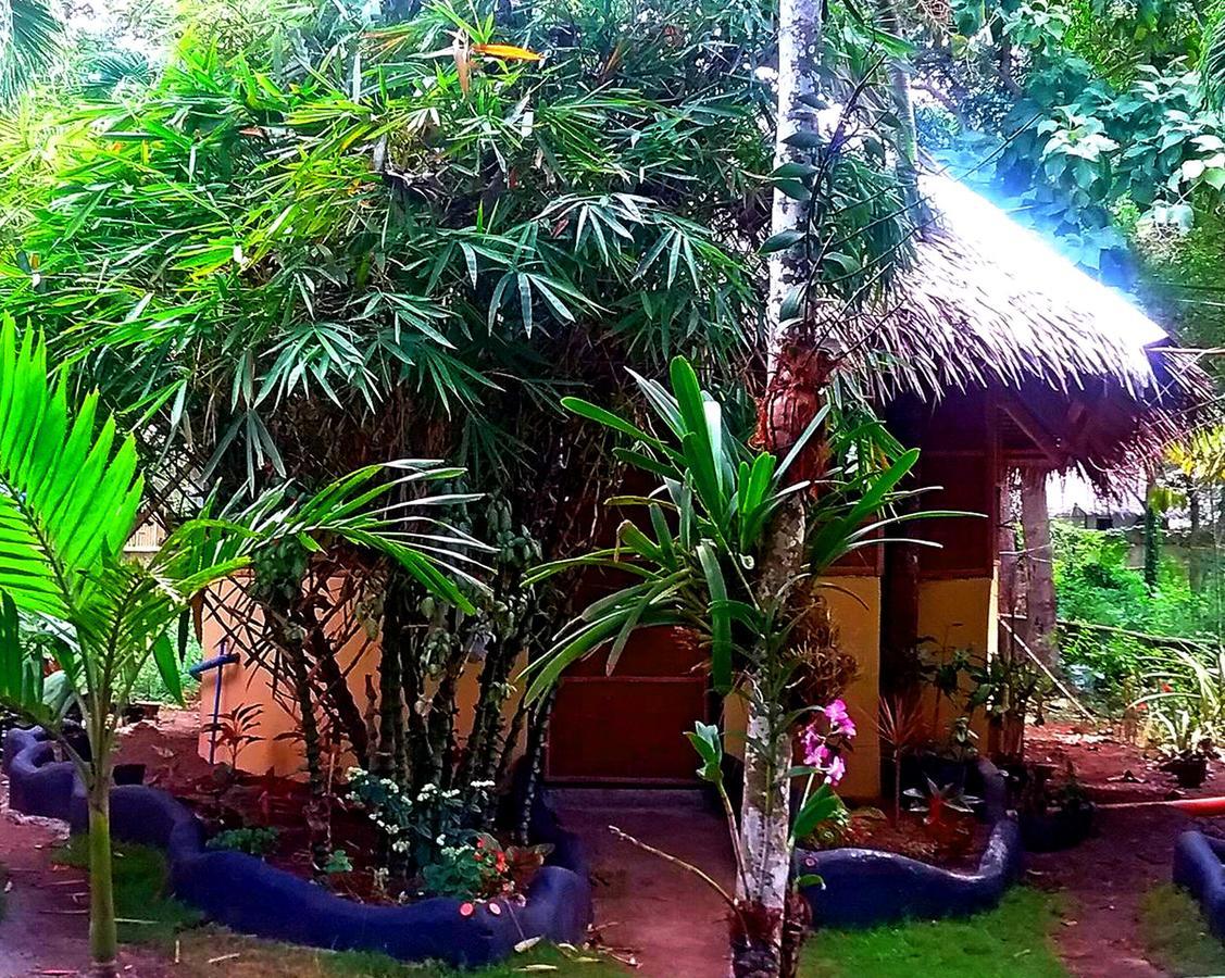 Lennon'S Place Backpacker Hostel Панглао Экстерьер фото